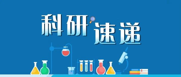 科研速递丨UTUC患者经治后出现中高危NMIBC，BCG治疗的缓解情况及肿瘤学结局分析